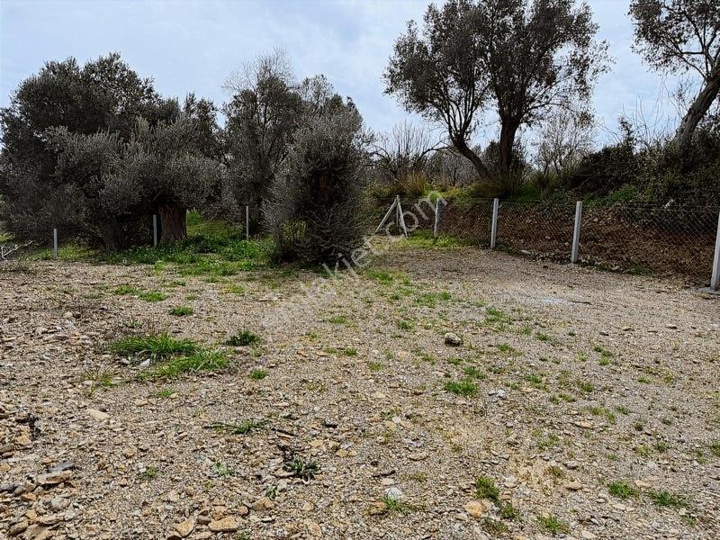 Menderes Dereköy'de Satılık Hisse Tapu Meşe Emlak'tan — fotoğraf 12