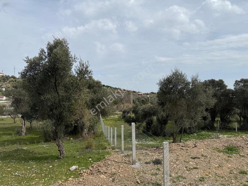 Menderes Dereköy'de Satılık Hisse Tapu Meşe Emlak'tan — fotoğraf 15