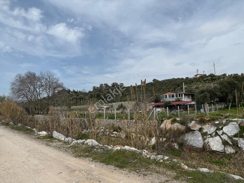 Menderes Dereköy'de Satılık Hisse Tapu Meşe Emlak'tan — fotoğraf 17