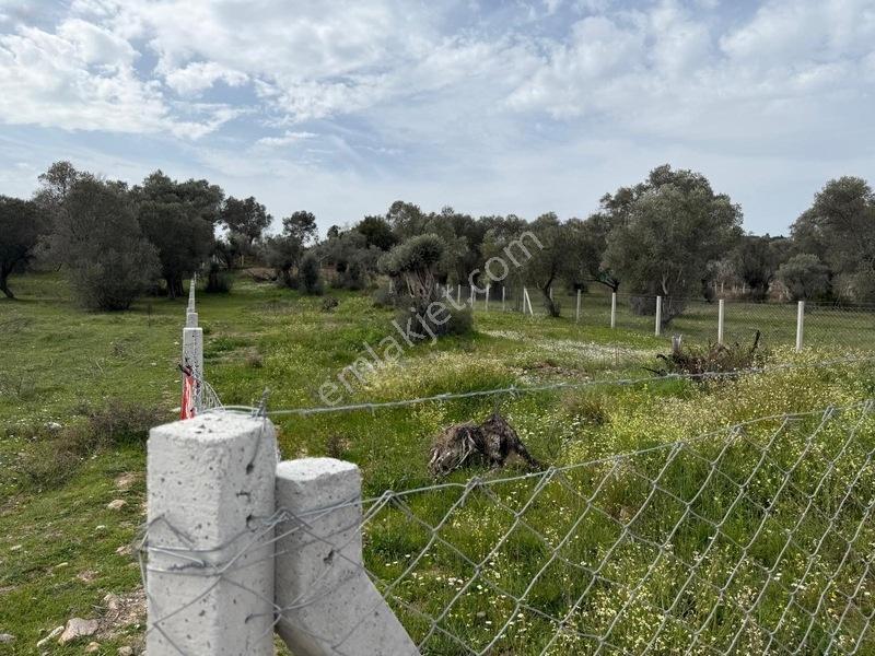 Menderes Dereköy'de Satılık Hisse Tapu Meşe Emlak'tan — fotoğraf 18