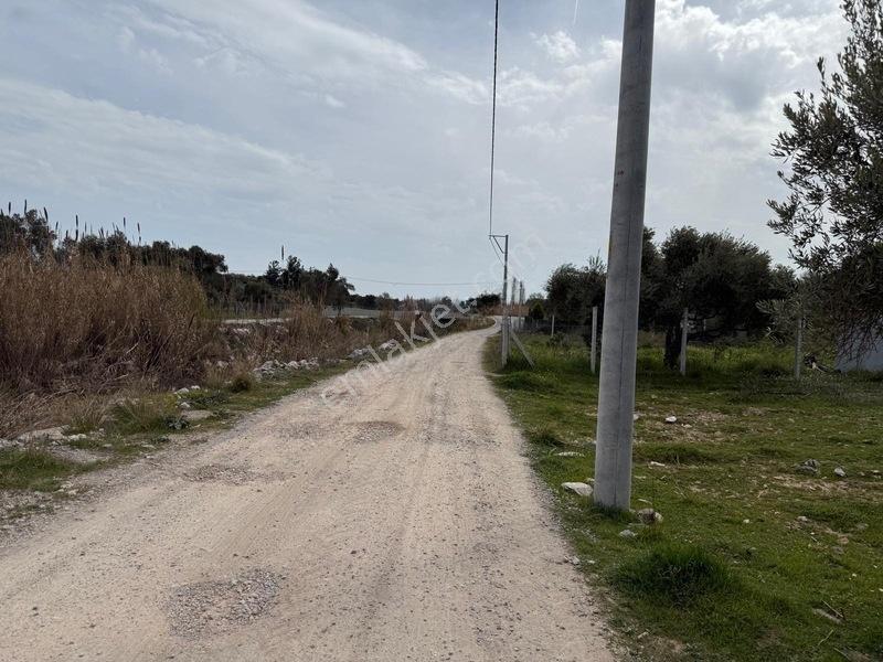 Menderes Dereköy'de Satılık Hisse Tapu Meşe Emlak'tan — fotoğraf 19