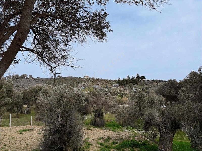 Menderes Dereköy'de Satılık Hisse Tapu Meşe Emlak'tan — fotoğraf 21