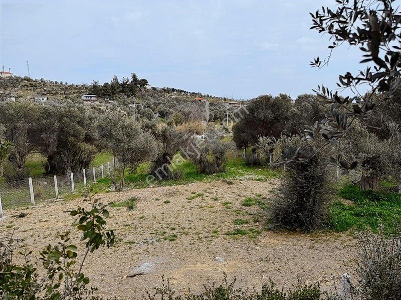 Menderes Dereköy'de Satılık Hisse Tapu Meşe Emlak'tan — fotoğraf 24
