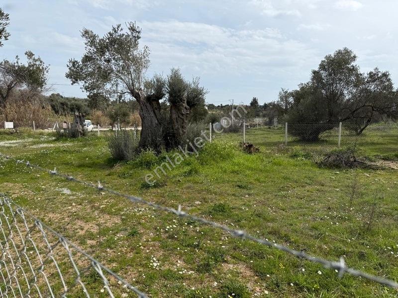 Menderes Dereköy'de Satılık Hisse Tapu Meşe Emlak'tan — fotoğraf 27