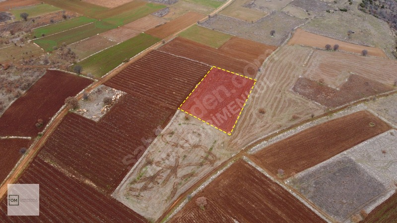 Denizli,Bekilli,Kutlubey Mahallesi 3.594 M2 Merkeze Yakın Arazi