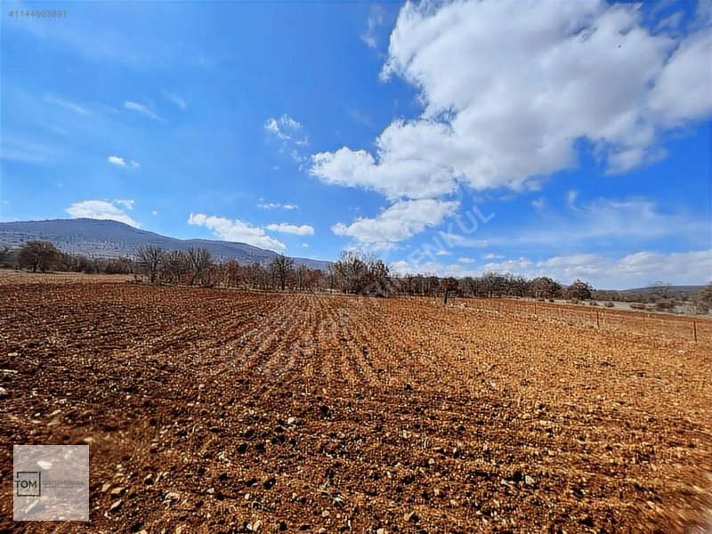 Denizli,bekilli,kutlubey Mahallesi 3.594 M2 Merkeze Yakın Arazi — fotoğraf 8