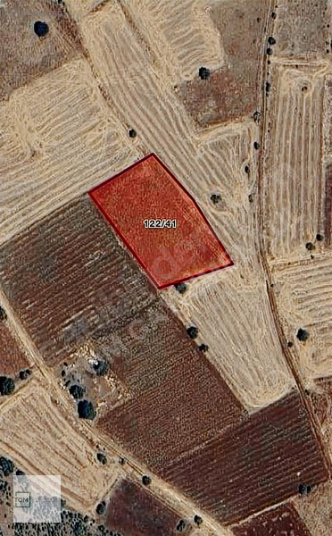 Denizli,bekilli,kutlubey Mahallesi 3.594 M2 Merkeze Yakın Arazi — fotoğraf 9