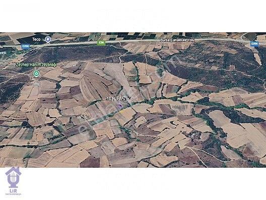 Lir Den Çanakkale Biga Çelikgürü De Satılık 400 M2 Tarla
