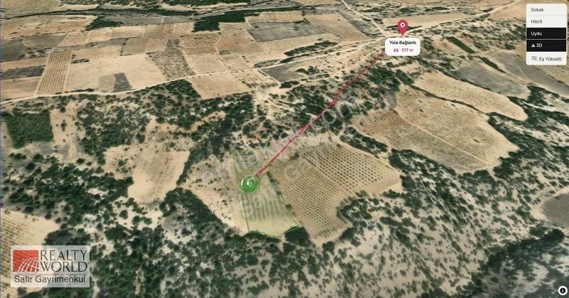 Bekilli Yeşiloba'da 5.848 M² 240 Ağaçlık Hazır Zeytin Bahçesi — fotoğraf 3