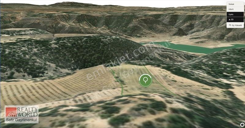 Bekilli Yeşiloba'da 5.848 M² 240 Ağaçlık Hazır Zeytin Bahçesi — fotoğraf 5