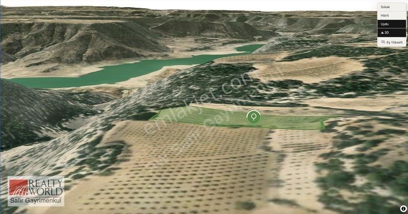 Bekilli Yeşiloba'da 5.848 M² 240 Ağaçlık Hazır Zeytin Bahçesi — fotoğraf 6