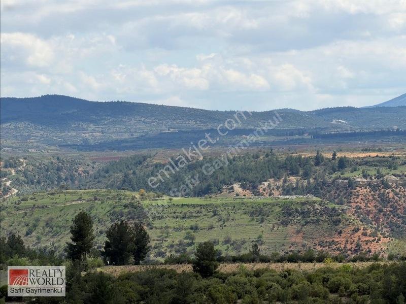 Bekilli Yeşiloba'da 5.848 M² 240 Ağaçlık Hazır Zeytin Bahçesi — fotoğraf 14