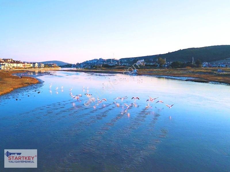 Alaçatı Port Gelişim Aksında 4 Dönüm Stratejik Yatırım Arazisi — fotoğraf 15