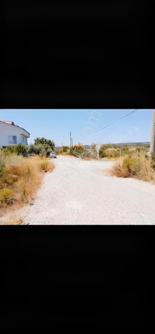 Aydın Didim Akyeniköy Mevkinde 595 M2 İkiz Villalık Arsa