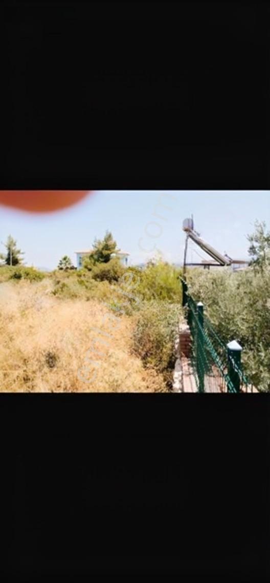 Aydın Didim Akyeniköy Mevkinde 595 M2 İkiz Villalık Arsa — fotoğraf 3