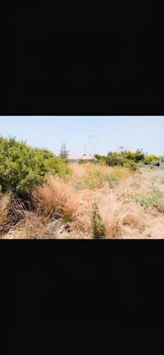 Aydın Didim Akyeniköy Mevkinde 595 M2 İkiz Villalık Arsa — fotoğraf 5