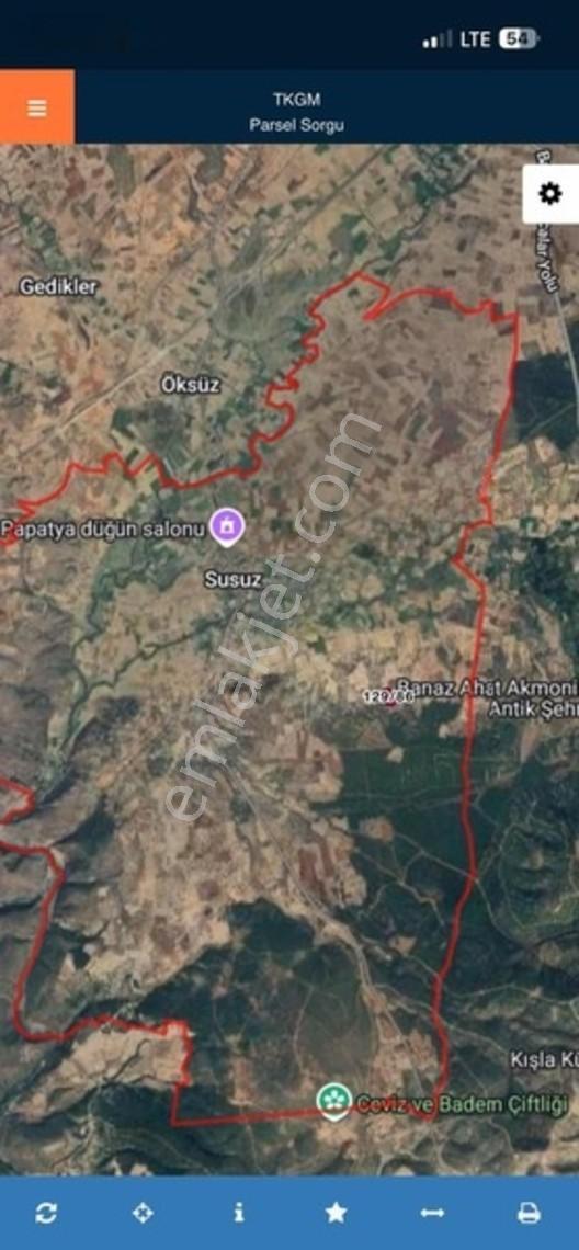 Banaz Susuzda 9752m2 Orman Yanı Yolu Olan Tarla