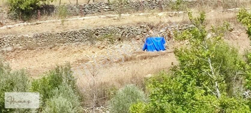 İdamaxtan Çukurköy'de Müstakil Tarla — fotoğraf 2