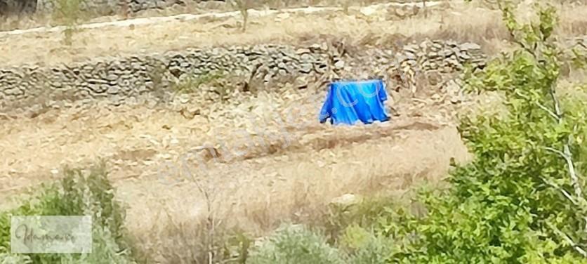 İdamaxtan Çukurköy'de Müstakil Tarla — fotoğraf 3