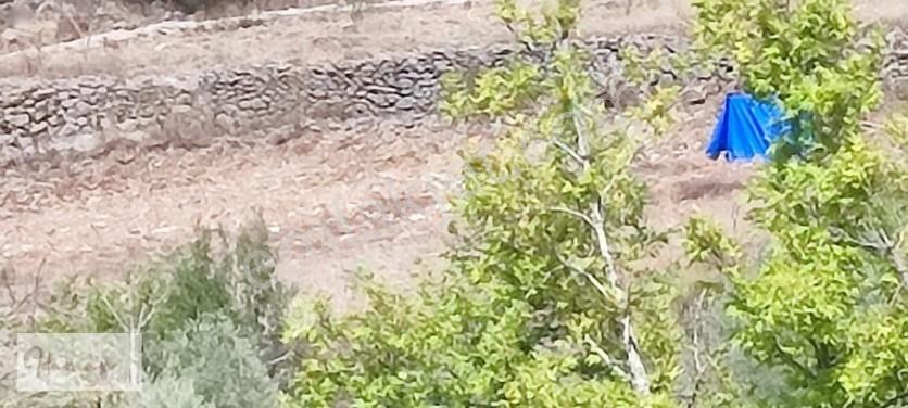İdamaxtan Çukurköy'de Müstakil Tarla — fotoğraf 4