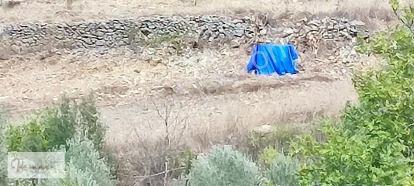 İdamaxtan Çukurköy'de Müstakil Tarla — fotoğraf 5
