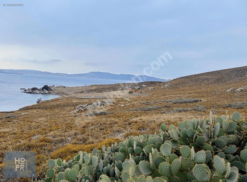 Koyun Adası'nda Denize Sadece 200 Metre Mesafede! 390 M² Arsa — fotoğraf 9