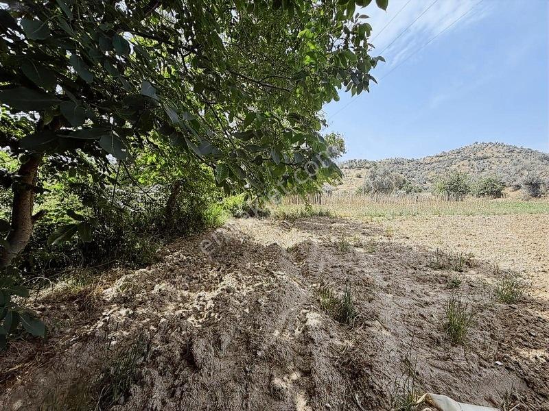 Pek Emlaktan Kuyu Suyu Bulunan Satılık Bahçe — fotoğraf 6