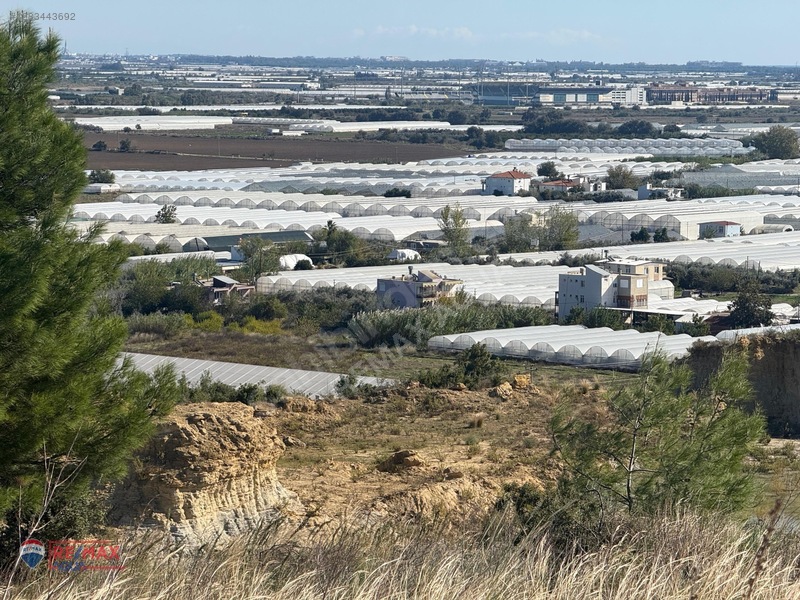 Deniz Gören 343 M² Konut İmarlı Satılık Müstakil Arsa — fotoğraf 14