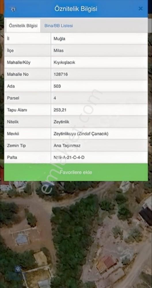 Milas Kıyıkışlacık Zeytinlikuyu 253m2 Satılık Zeytinlik — fotoğraf 2
