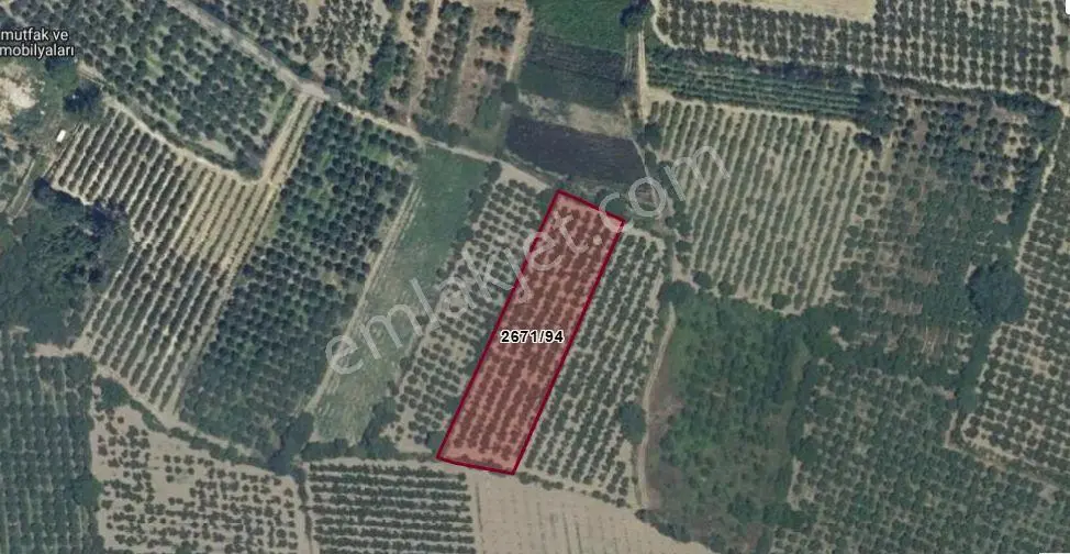 Vakıf'Ta 3.661 M² Müstakil Tek Tapu Bahçe | Yerleşime 200 Metre