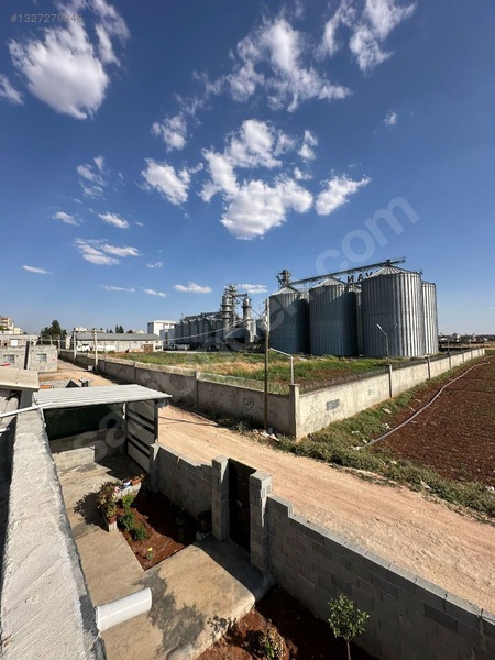 Şanlıurfa Hilvan — fotoğraf 15