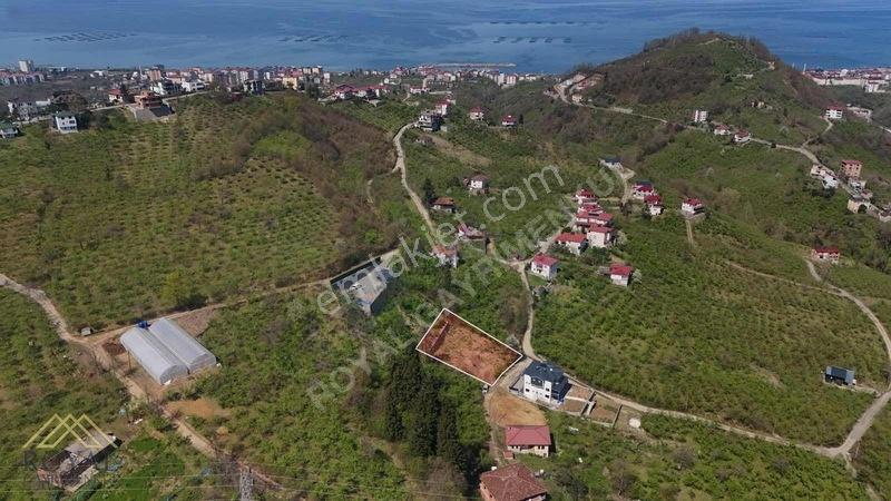 Arsin Fatih Mahallesinde Satılık Villa Arsası — fotoğraf 2