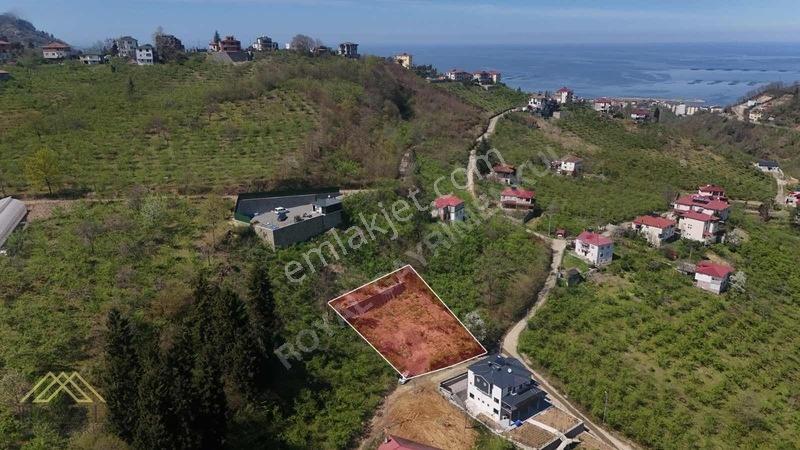 Arsin Fatih Mahallesinde Satılık Villa Arsası — fotoğraf 4