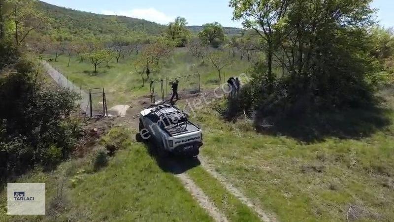 Öztarlacıdan 14050 M2 Karaoğlanda Ceviz Bahçesi
