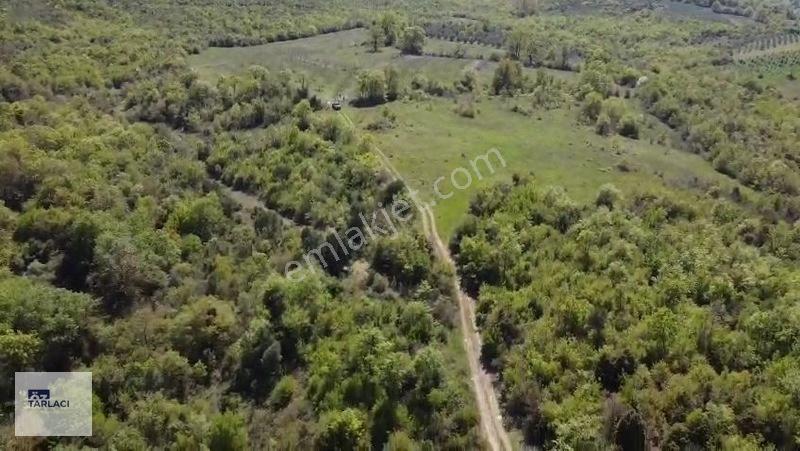 Öztarlacıdan 14050 M2 Karaoğlanda Ceviz Bahçesi — fotoğraf 7