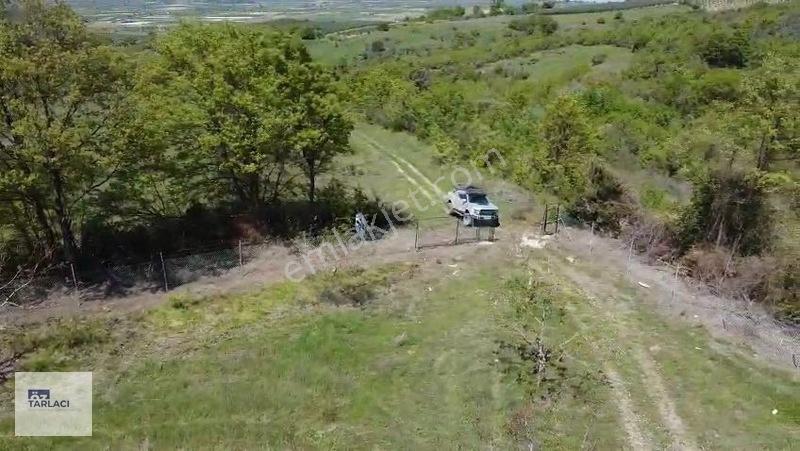 Öztarlacıdan 14050 M2 Karaoğlanda Ceviz Bahçesi — fotoğraf 19