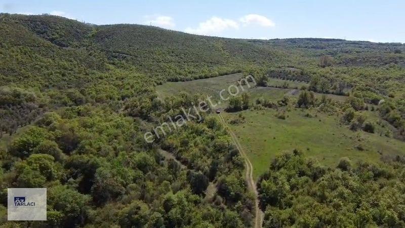Öztarlacıdan 14050 M2 Karaoğlanda Ceviz Bahçesi — fotoğraf 20