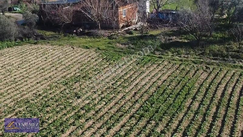 Ödemiş Kayaköy Evi Olan Tarla