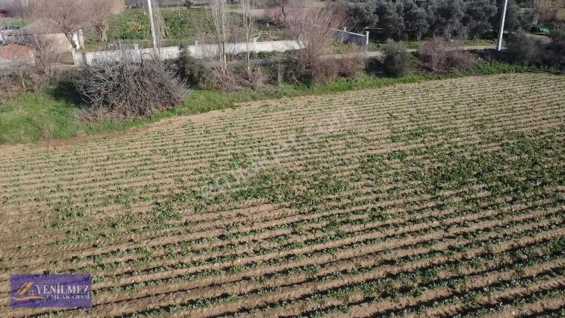Ödemiş Kayaköy Evi Olan Tarla — fotoğraf 4
