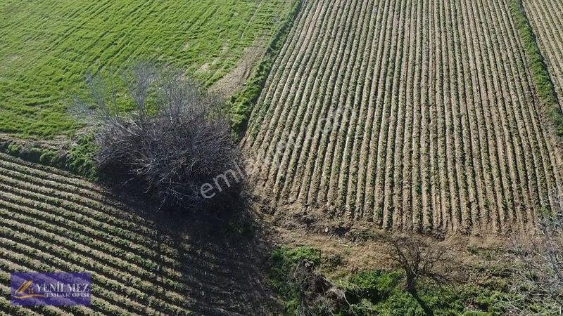 Ödemiş Kayaköy Evi Olan Tarla — fotoğraf 13