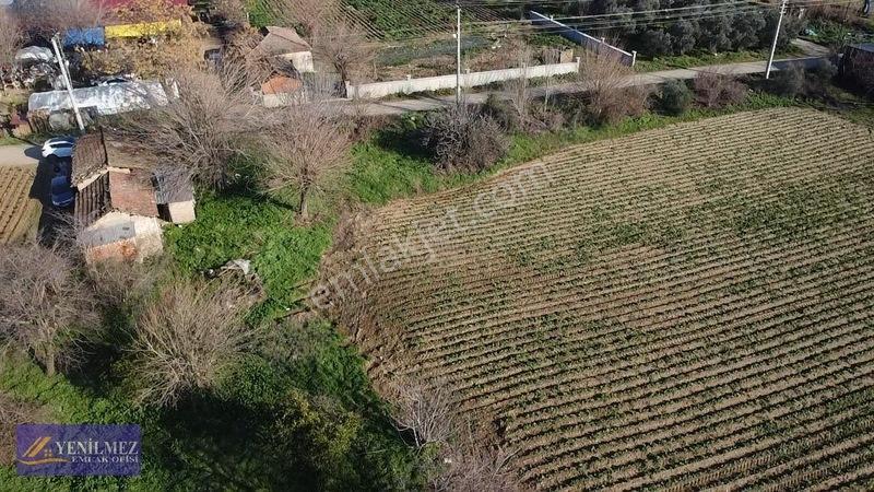 Ödemiş Kayaköy Evi Olan Tarla — fotoğraf 16