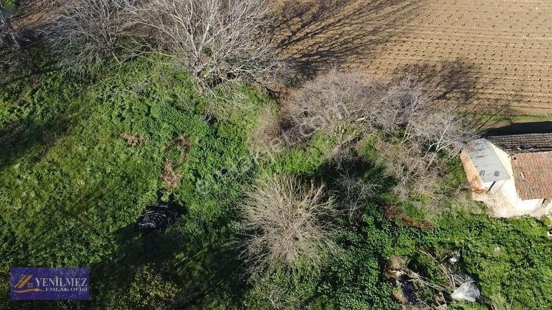 Ödemiş Kayaköy Evi Olan Tarla — fotoğraf 19