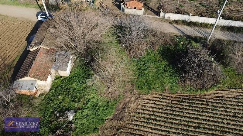 Ödemiş Kayaköy Evi Olan Tarla — fotoğraf 21