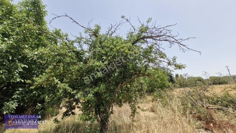 Ödemiş Kayaköy Evi Olan Tarla — fotoğraf 27