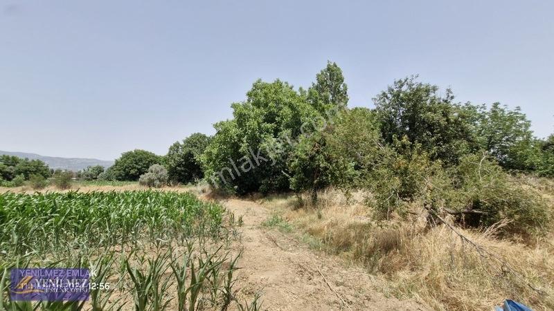 Ödemiş Kayaköy Evi Olan Tarla — fotoğraf 28