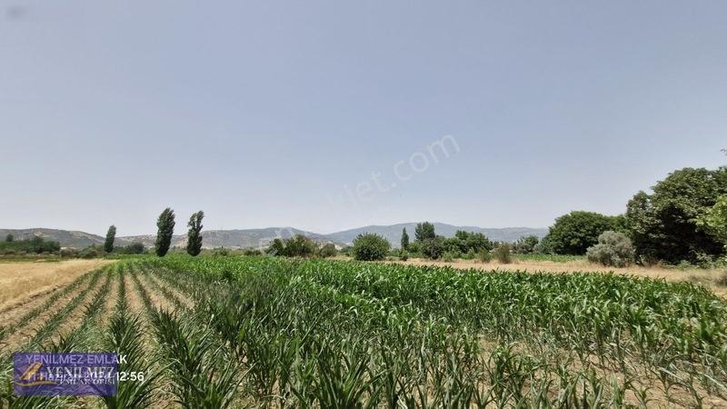 Ödemiş Kayaköy Evi Olan Tarla — fotoğraf 29