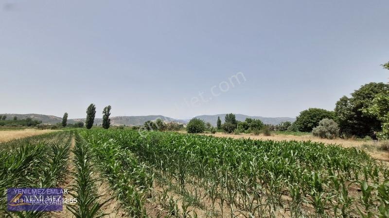 Ödemiş Kayaköy Evi Olan Tarla — fotoğraf 31