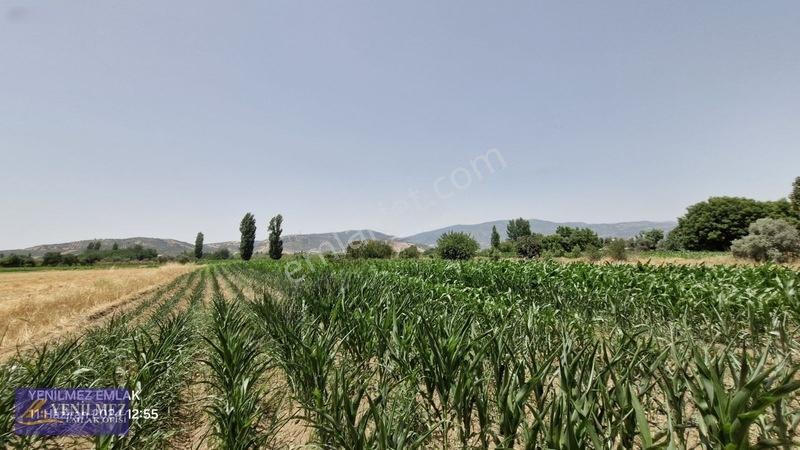 Ödemiş Kayaköy Evi Olan Tarla — fotoğraf 32
