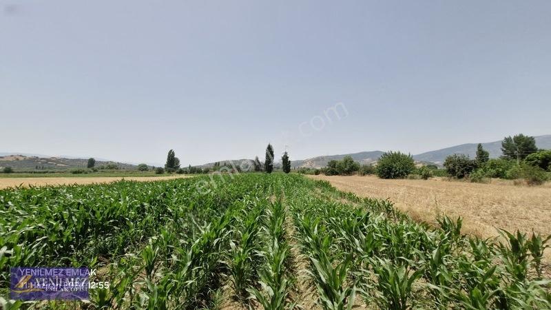 Ödemiş Kayaköy Evi Olan Tarla — fotoğraf 33