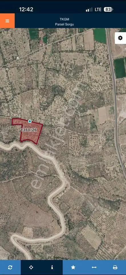 Aydın Bozdoğan Yeni Mahallesi’nde Satılık Zeytinlik 17.472,75 M² – 600 Adet Yetişkin Zeytin Ağacı — fotoğraf 4
